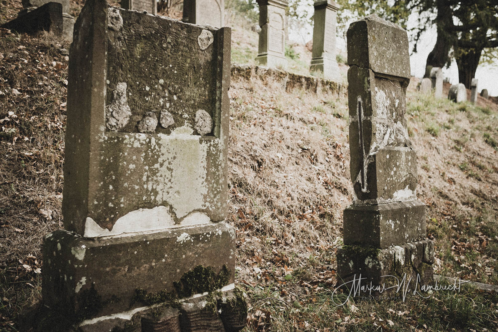 Landau, Jüdischer Friedhof